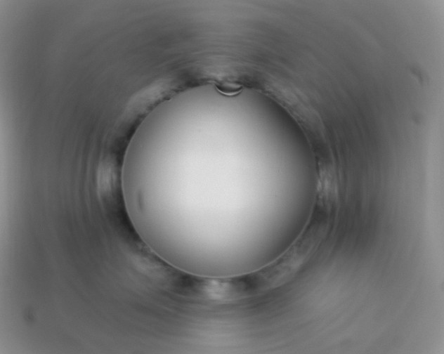 X0000114160623200910221609