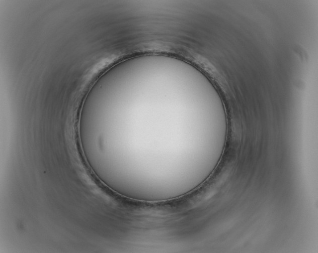 X0000114160625200910221609