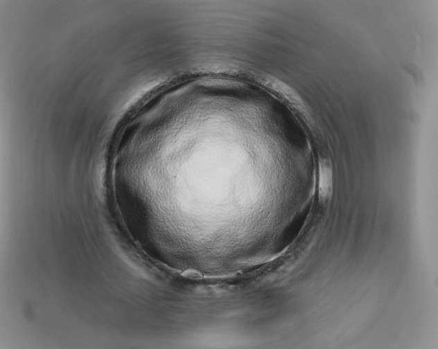 X0000114160627200910221609