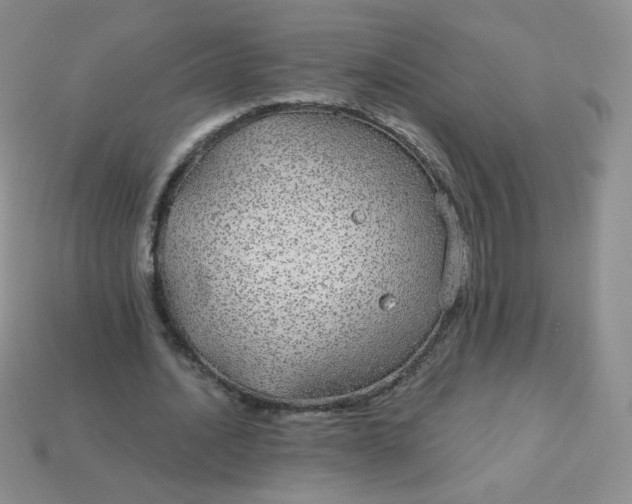 X0000114160628200910221609