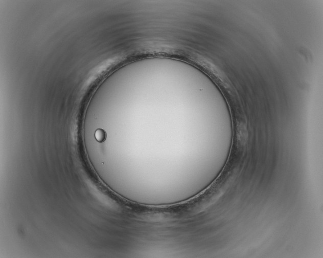 X0000114160629200910221609