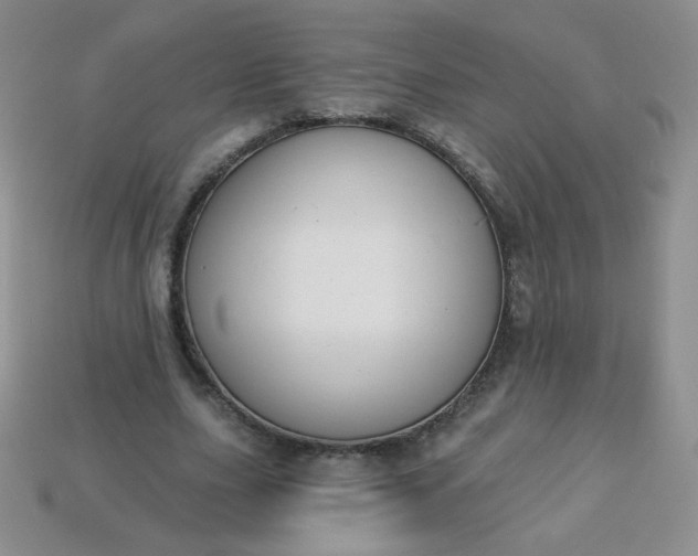 X0000114160631200910221609