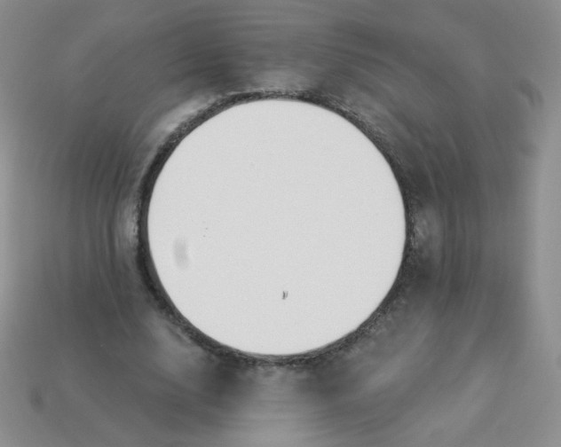 X0000114160632200910221609