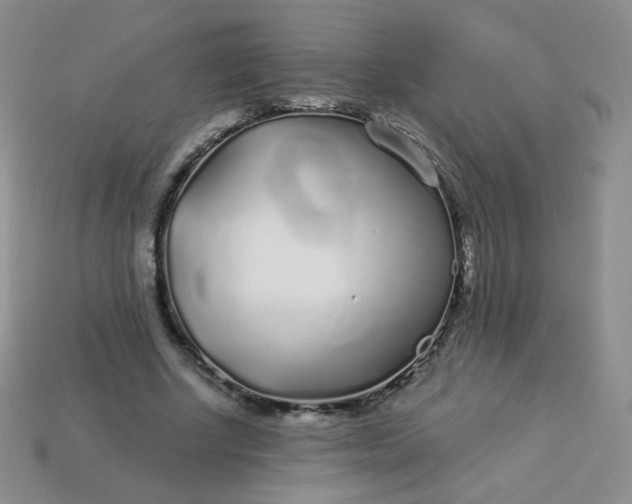 X0000114160634200910221609