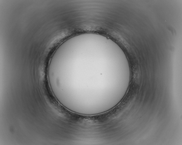 X0000114160635200910221609