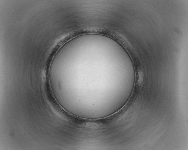 X0000114160636200910221609