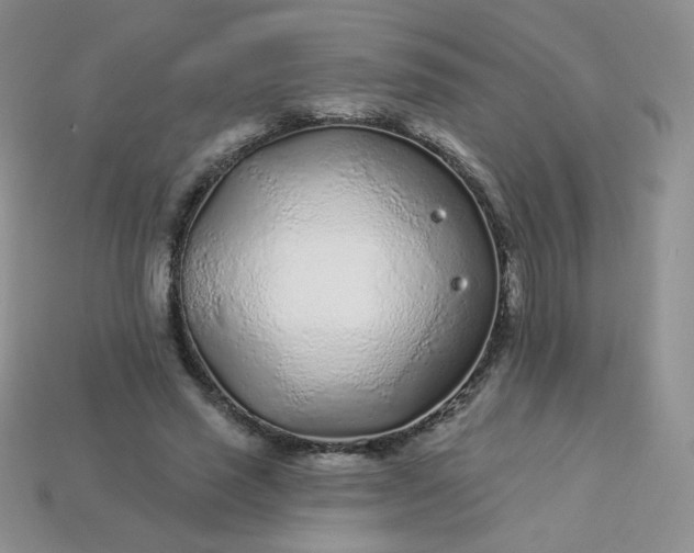 X0000114160637200910221609