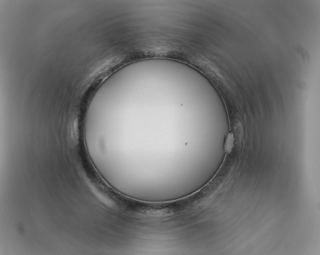 X0000114160638200910221609