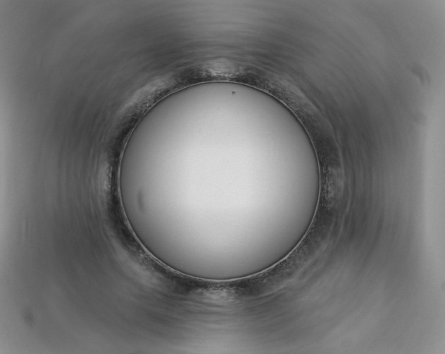 X0000114160639200910221609