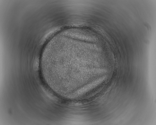 X0000114160640200910221609