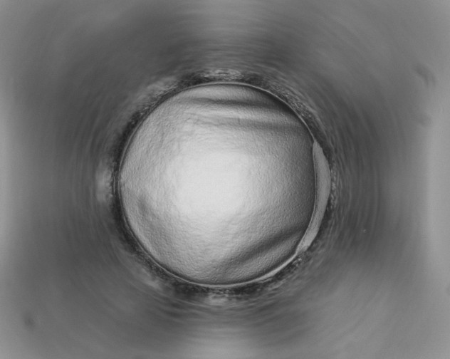 X0000114160641200910221609