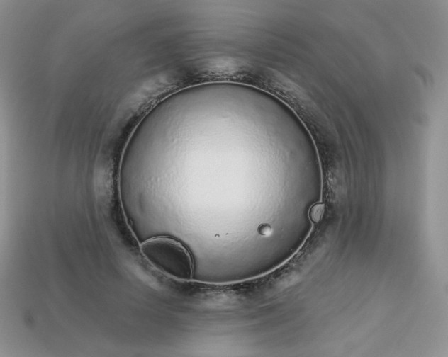 X0000114160642200910221609