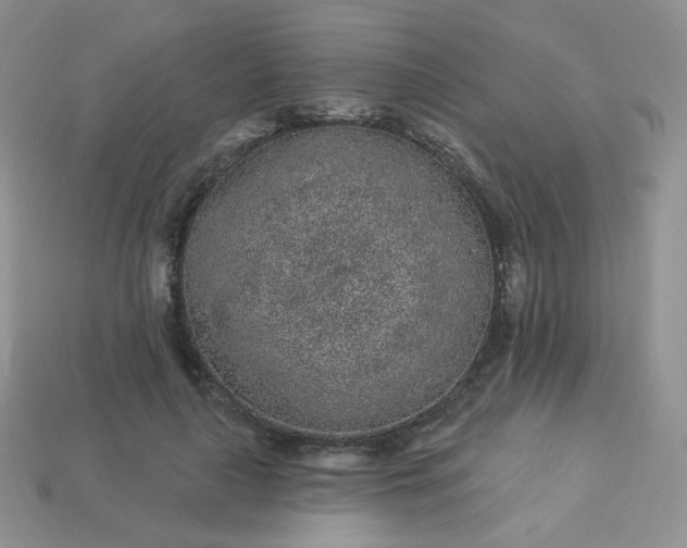 X0000114160643200910221609