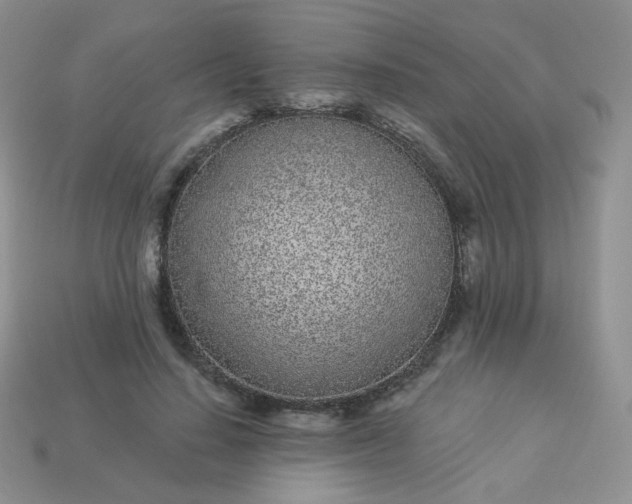 X0000114160644200910221609