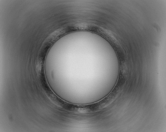 X0000114160645200910221609