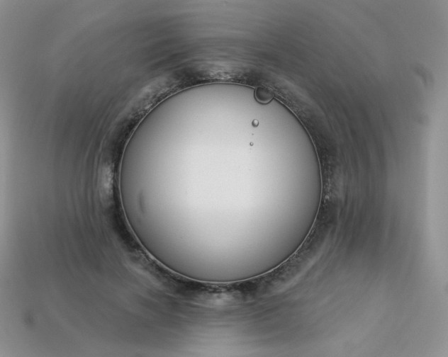 X0000114160646200910221609