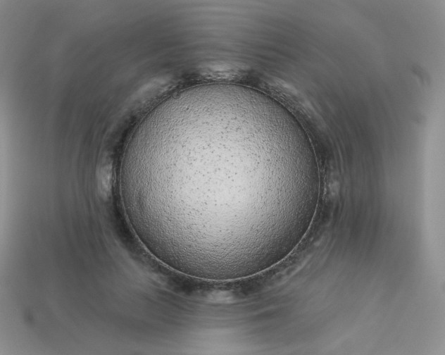 X0000114160647200910221609