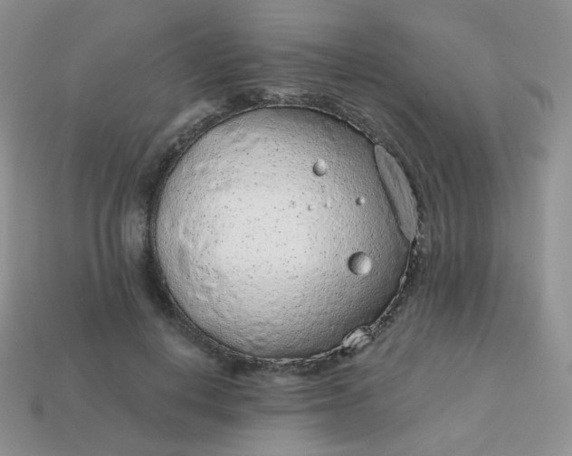 X0000114160648200910221609