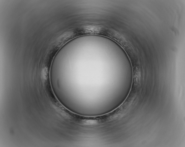 X0000114160649200910221609