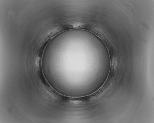 X0000114160650200910221609