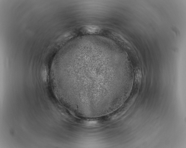 X0000114160651200910221609