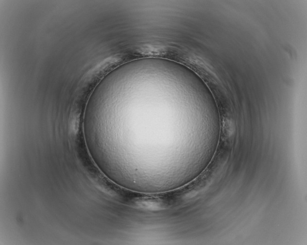 X0000114160652200910221609