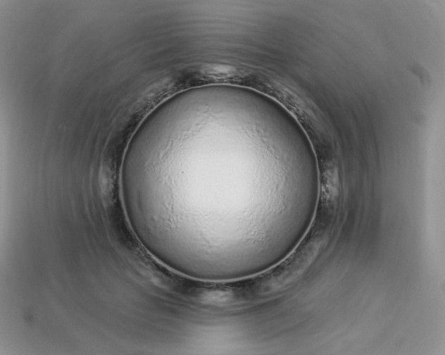 X0000114160653200910221609