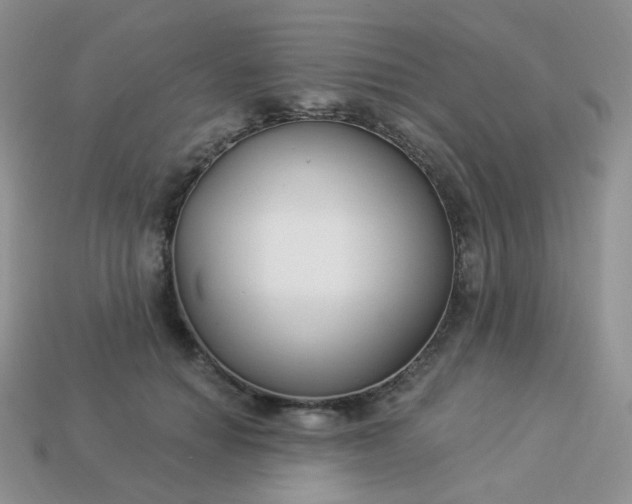 X0000114160654200910221609