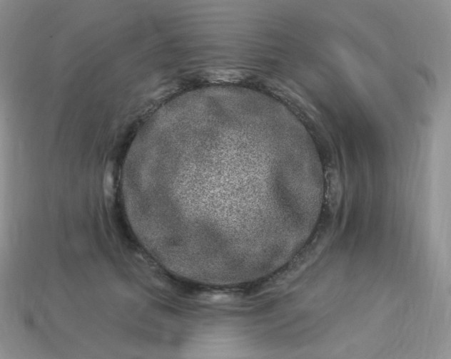 X0000114160655200910221609