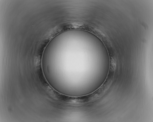 X0000114160657200910221609