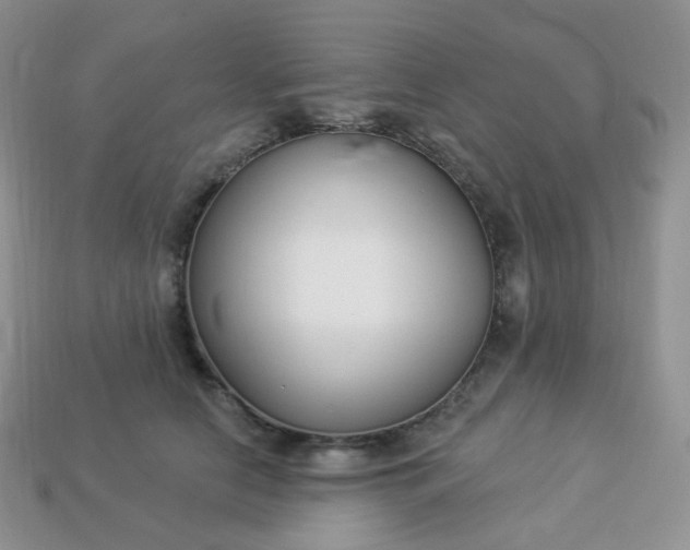 X0000114160658200910221609