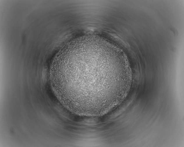 X0000114160659200910221609