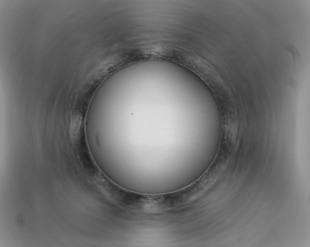 X0000114160660200910221609