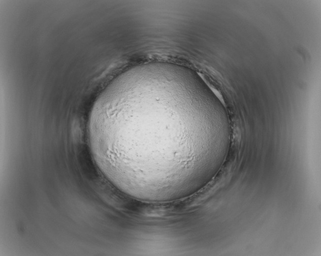 X0000114160661200910221609