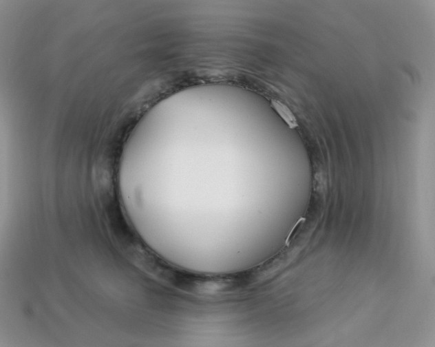 X0000114160662200910221609