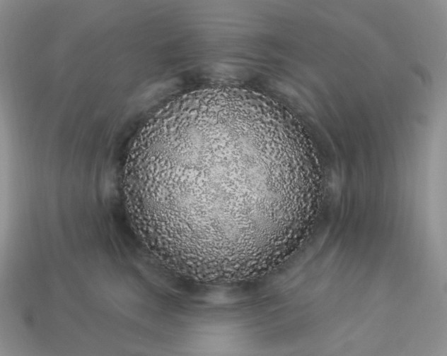 X0000114160663200910221609