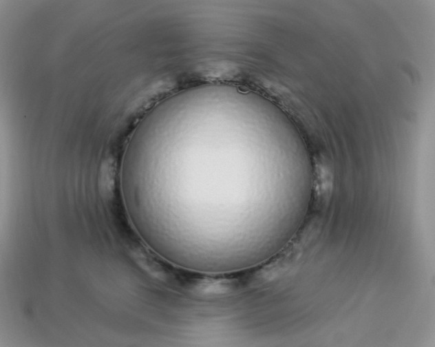 X0000114160664200910221609