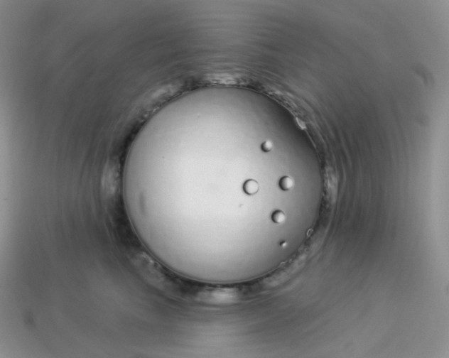 X0000114160665200910221609