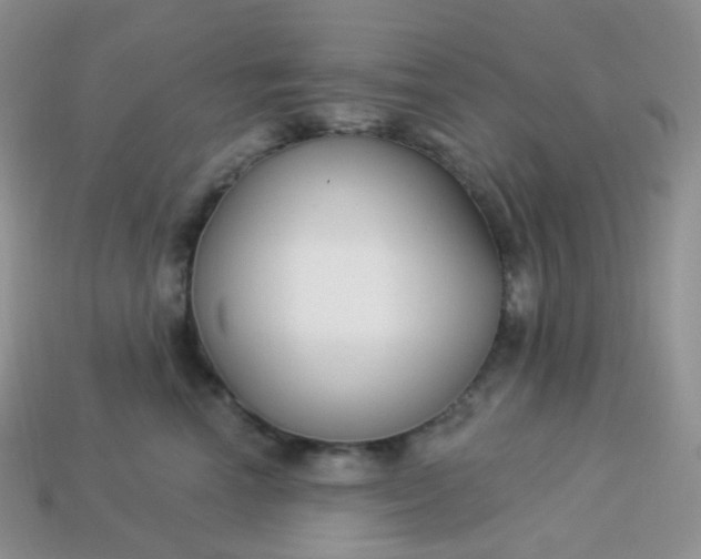 X0000114160666200910221609