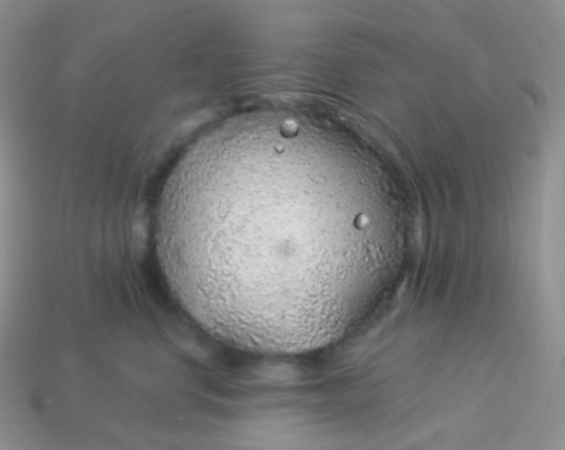 X0000114160668200910221609