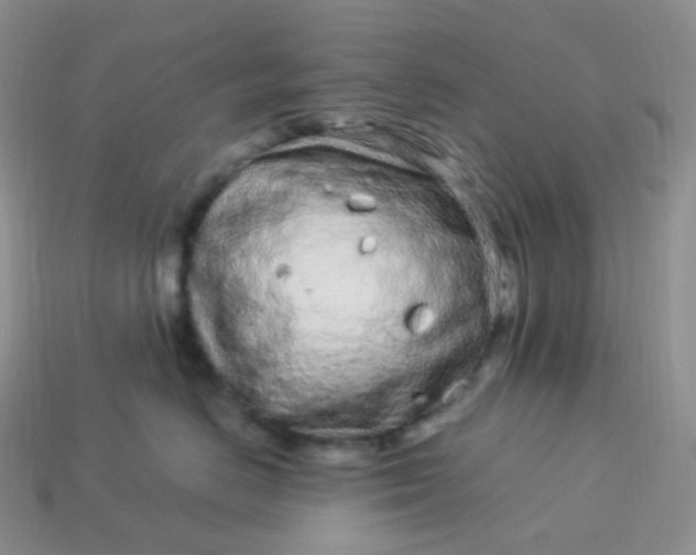 X0000114160670200910221609