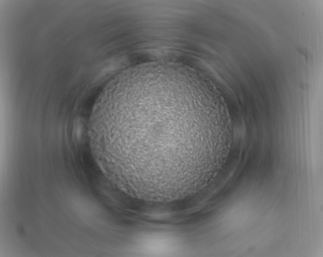 X0000114160671200910221609