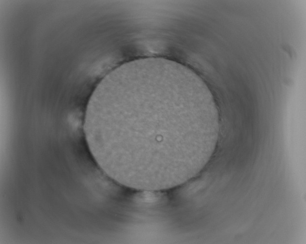 X0000114160672200910221609