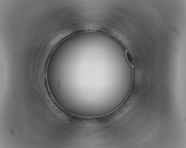 X0000114160673200910221609