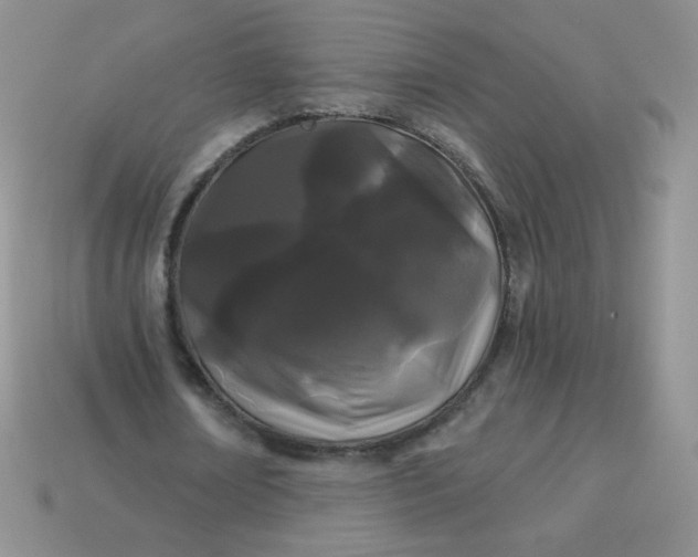 X0000114160674200910221609