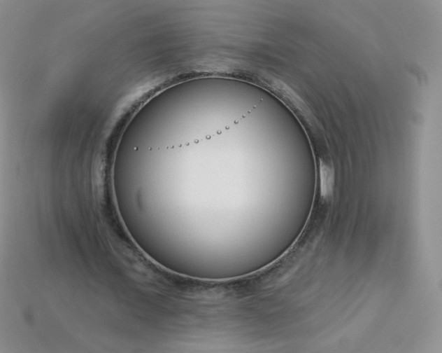 X0000114160675200910221609