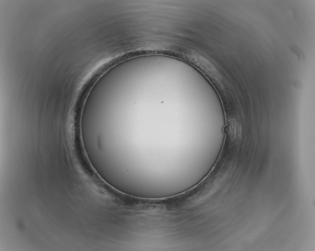 X0000114160676200910221609