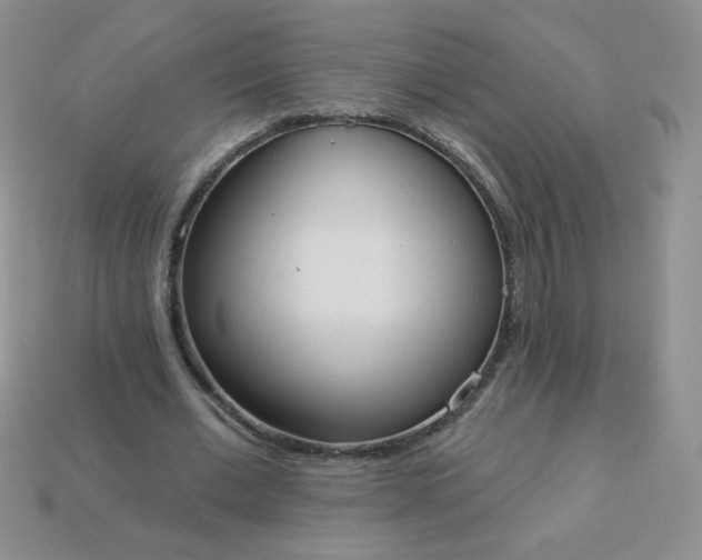 X0000114160677200910221609