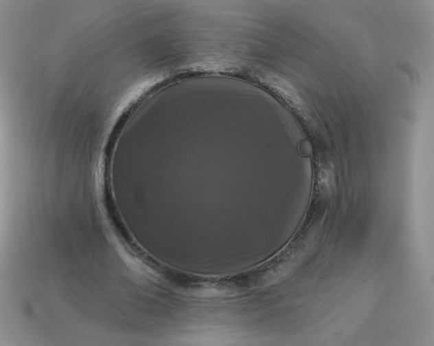 X0000114160678200910221609