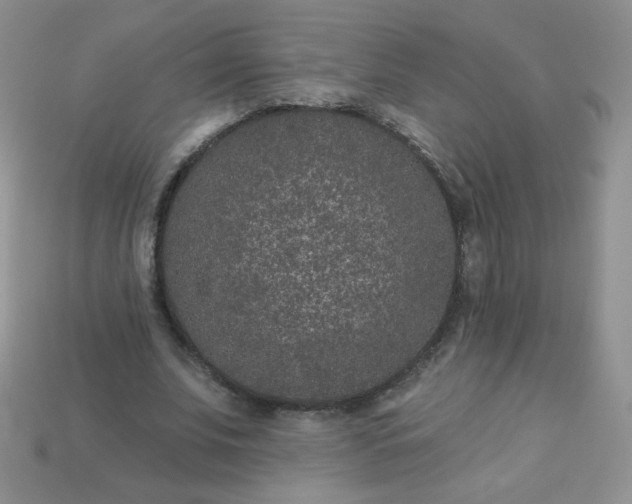 X0000114160679200910221609